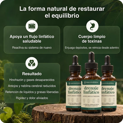 Deshincha tu abdomen y quema grasa naturalmente